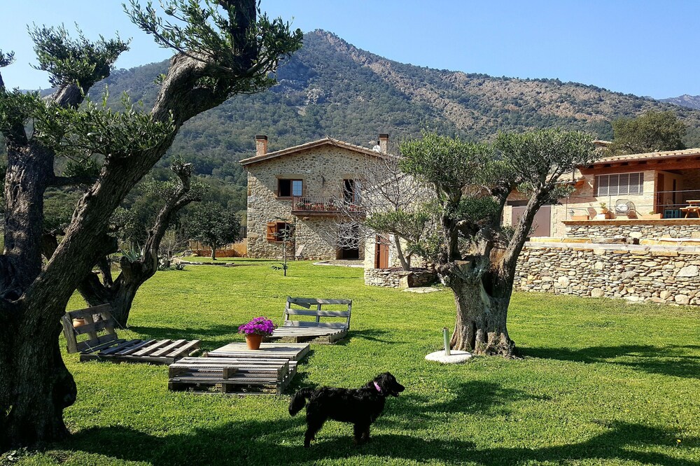Very pretty renovated country house, large garden, porch, barbecue and pool