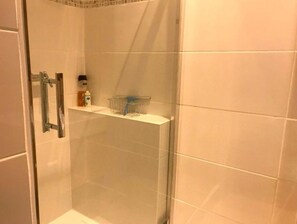 Regadera, secadora de cabello, toallas, papel de baño 