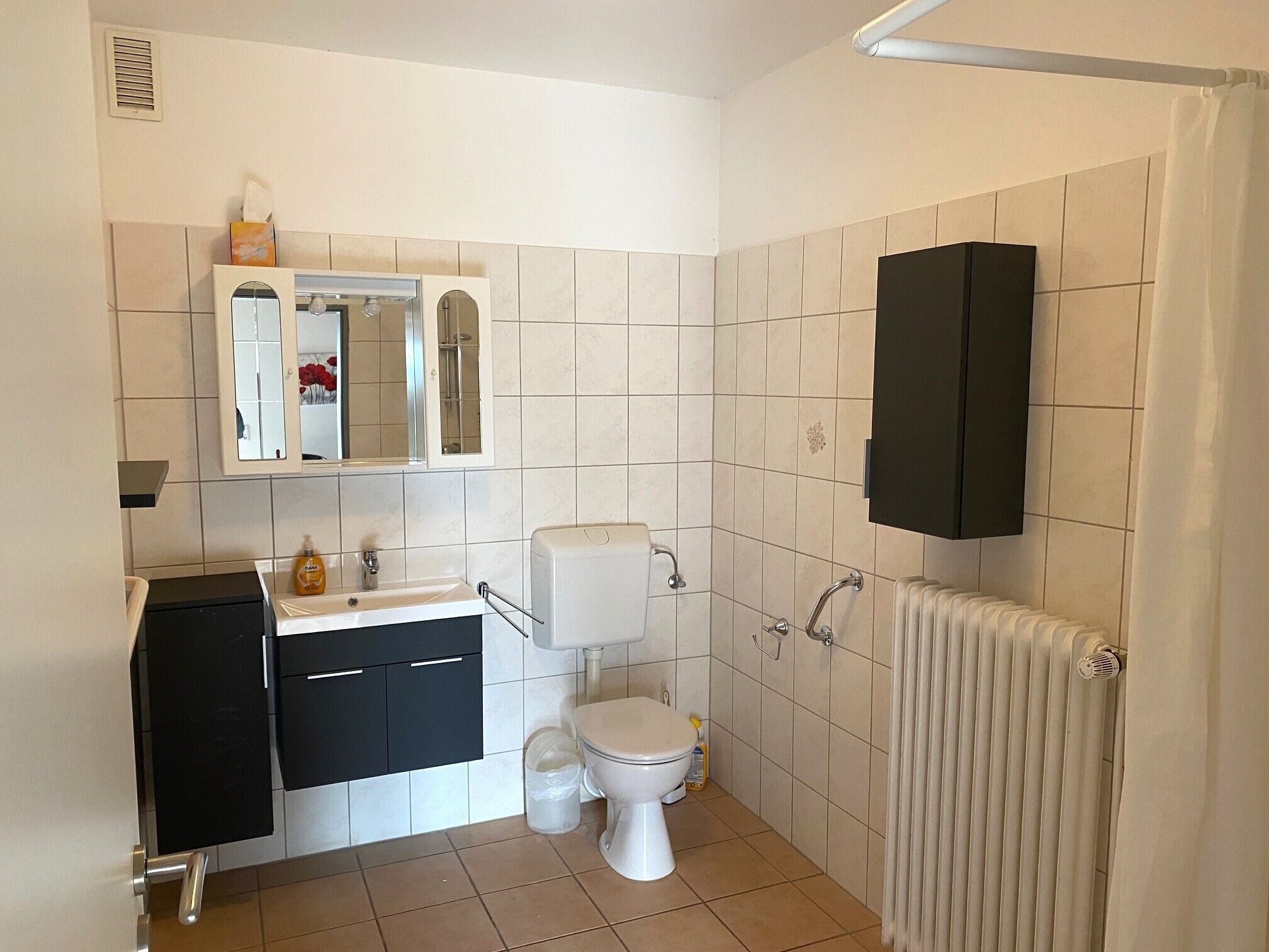 Un baño con inodoro, lavabo, espejo y radiador.