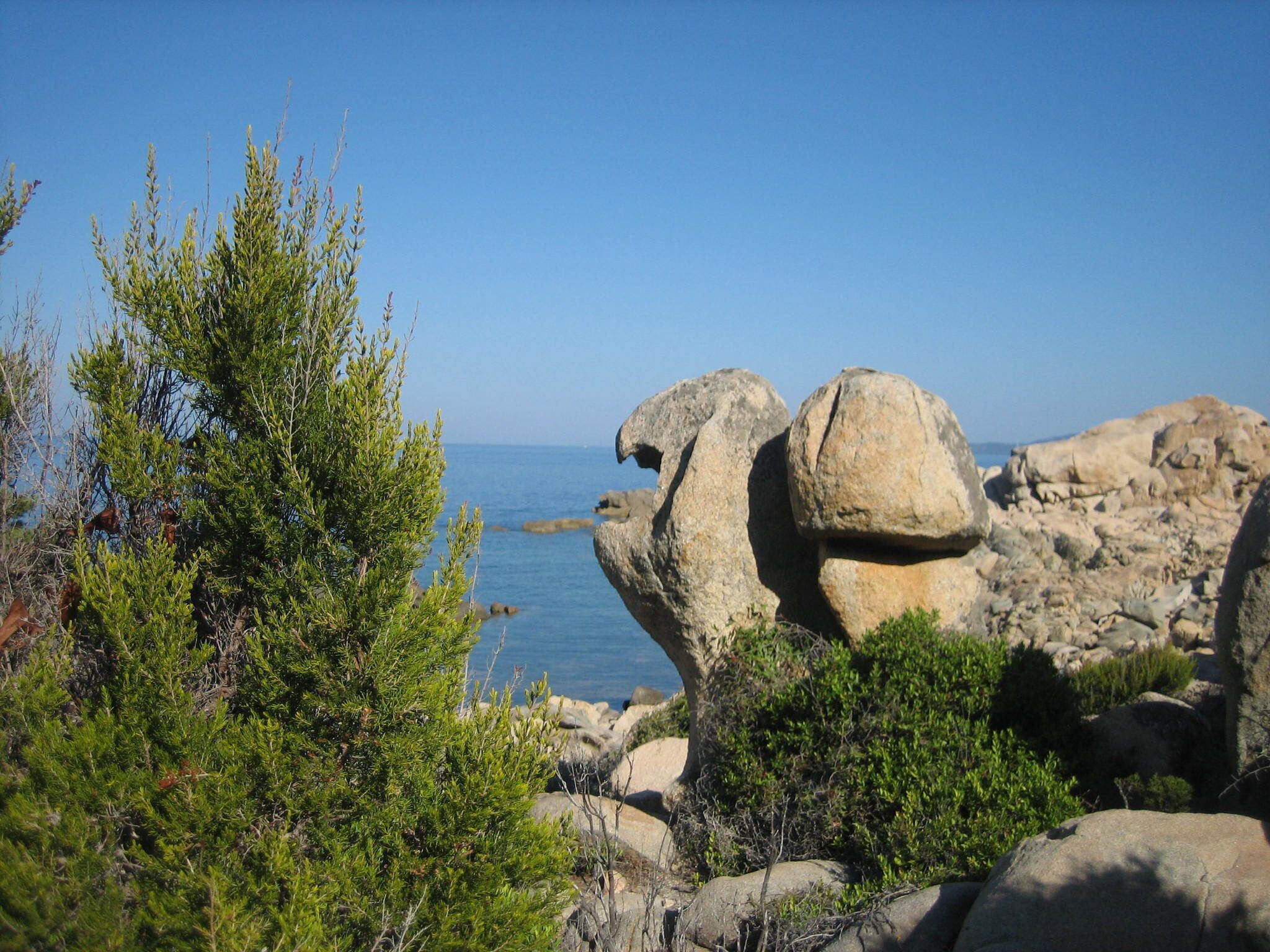 A rocky landscape with a prominent rock formation and dense green shrubbery.