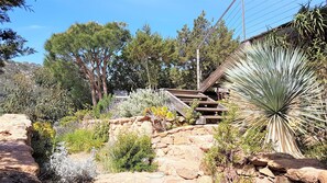 Property grounds - House 4/6 Peop Pool 3 bathrooms. Pedestrian access to the beachs of Palombaggia. (Porto-Vecchio)