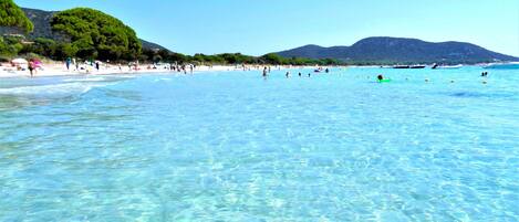Plage à proximité, chaises longues