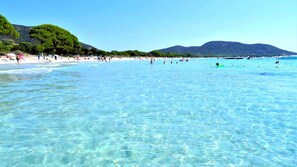 A beach with clear water, people swimming, and boats in the distance.