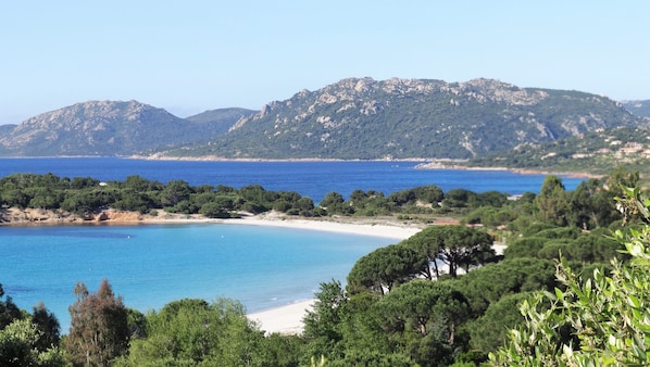 Beach nearby, sun-loungers - House 4/6 Peop Pool 3 bathrooms. Pedestrian access to the beachs of Palombaggia. (Porto-Vecchio)