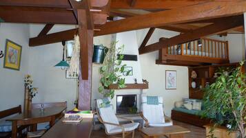 Télévision, cheminée, livres