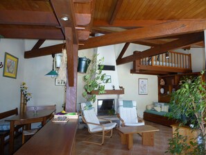 Télévision, cheminée, livres