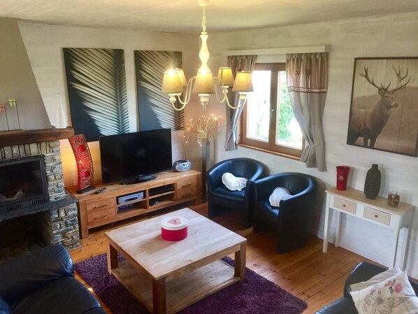 TV, fireplace, ping pong