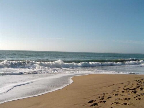 Quiet house near beach, pets allowed