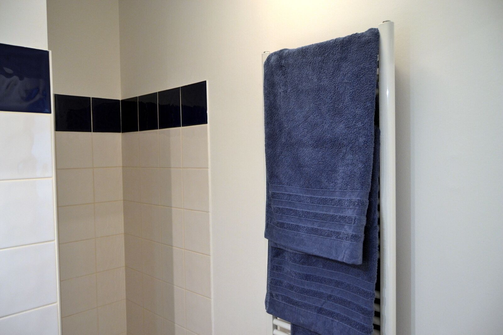 Een badkamer met witte betegelde wanden, een douchehoek en een handdoekrek met een opgevouwen handdoek.