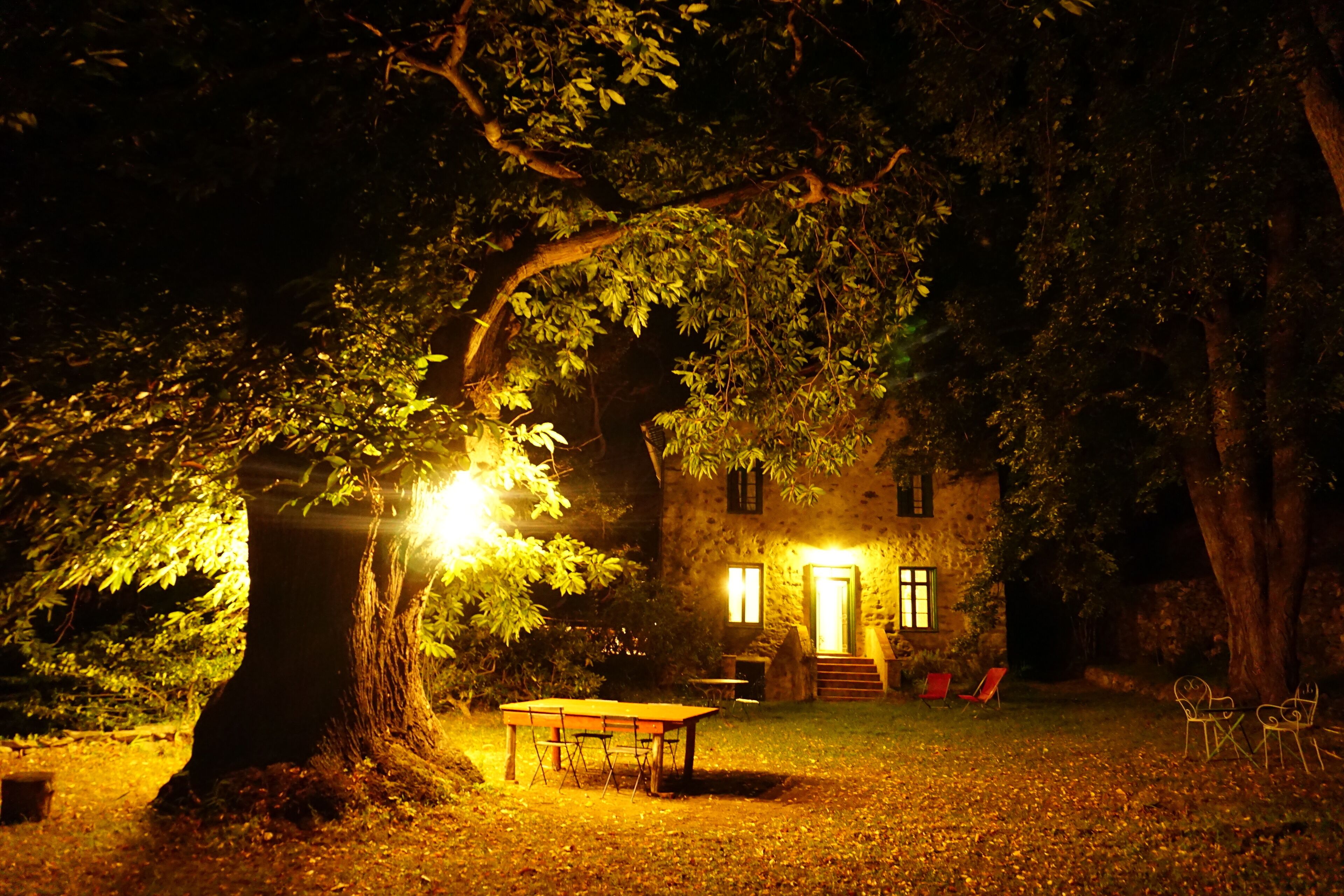 Un edificio de piedra con un gran árbol frente a él, una mesa y sillas en el patio.