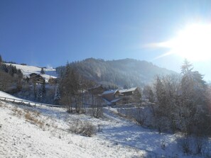 Snø- og skisport