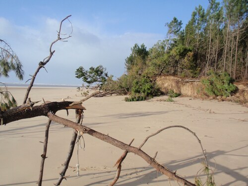 Sunny and relaxing villa in St Trojan les Bains ( ile d'oleron )