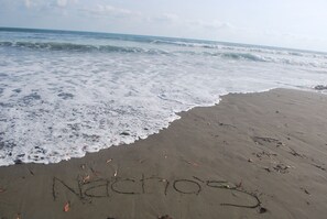 Beach - Nachos House (Quepos)