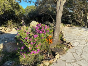 Overnattingsstedets uteområder