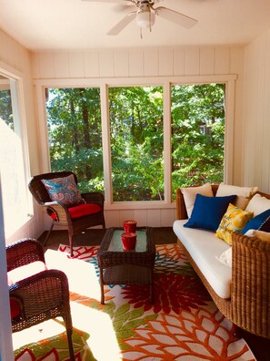 Smart TV, fireplace, DVD player, books