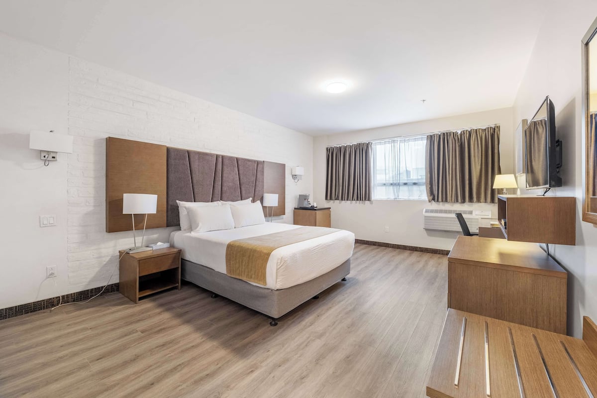 Standard Room, 1 Queen Bed, Non Smoking | Desk, laptop workspace, iron/ironing board, free WiFi