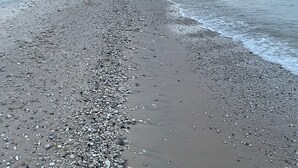 A pebbled beach with a rocky shoreline and trees in the background.