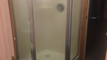 Un baño con cabina de ducha de vidrio, inodoro y suelo de madera oscura.