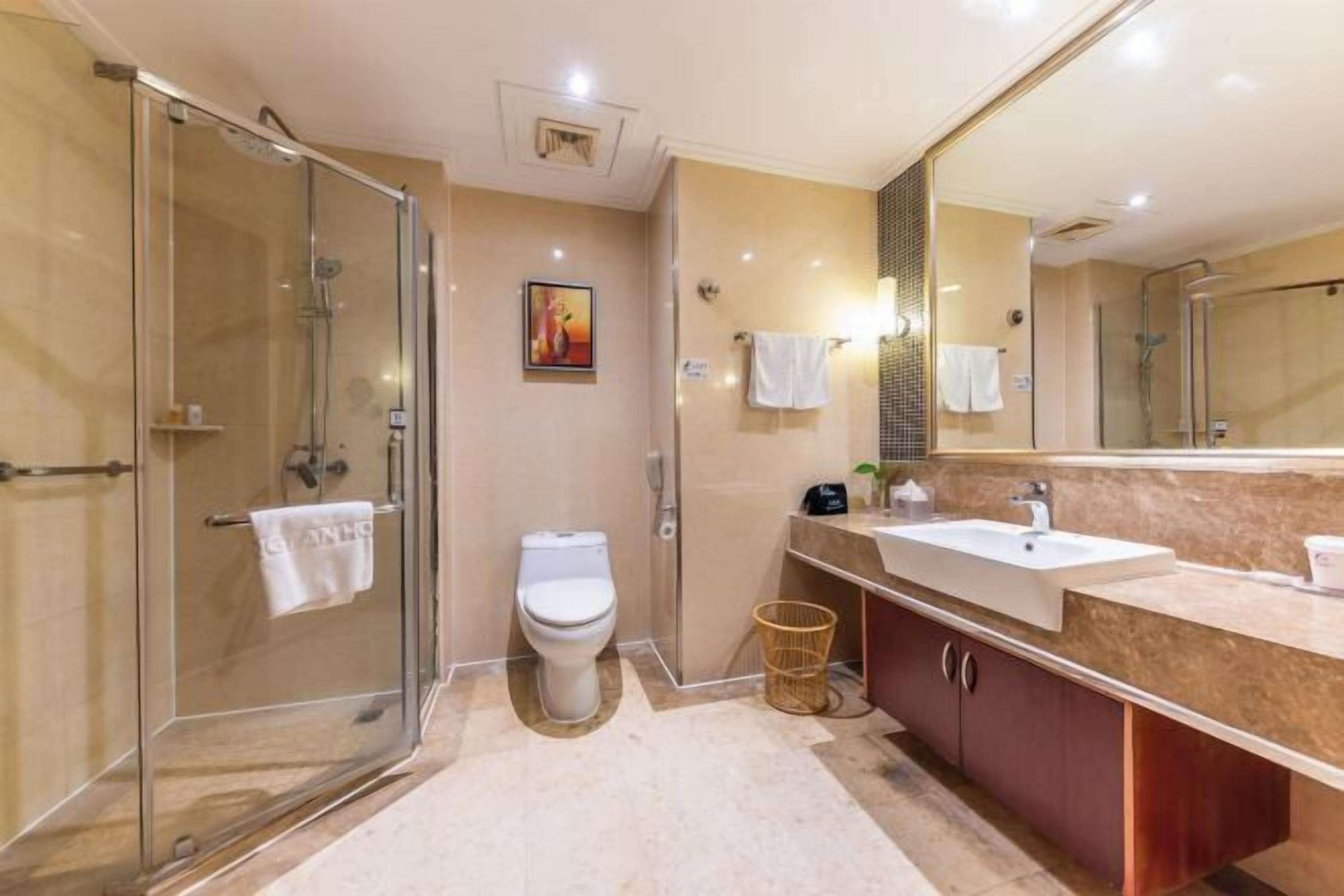 A modern bathroom with a glass shower enclosure, a toilet, a sink, and a large mirror.