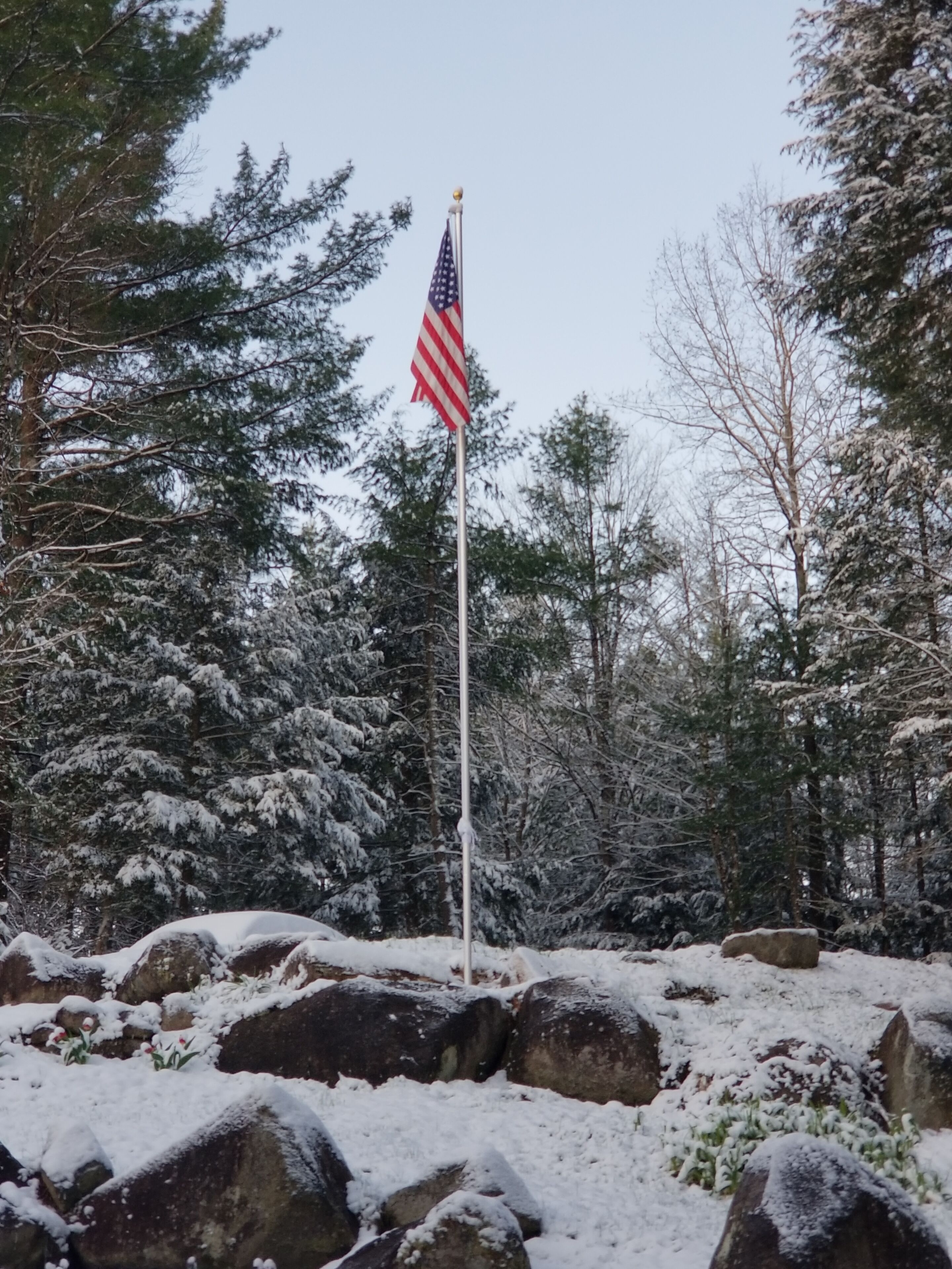 Un asta con la bandera estadounidense en un bosque nevado.