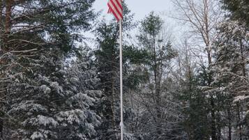 Un asta con la bandera estadounidense en un bosque nevado.