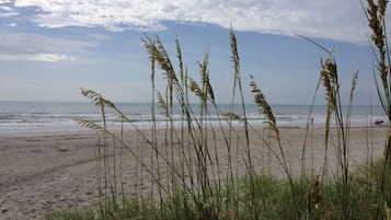 Perto da praia, toalhas de praia 