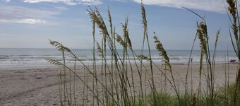 Beach Shack small 1 bedroom condo walk to ocean less than one block away