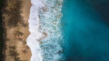 Sillas reclinables de playa, toallas de playa