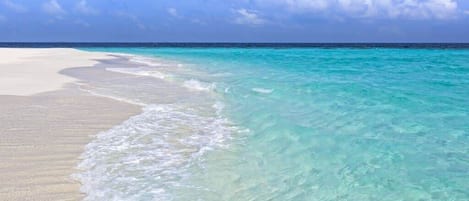 海滩