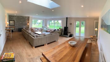 Televisio, takka, DVD-soitin, videokirjasto