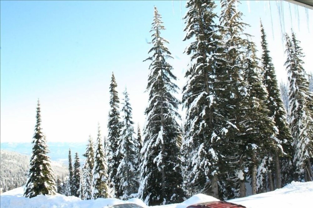 Schweitzer Mountain True Ski in Ski Out Condo