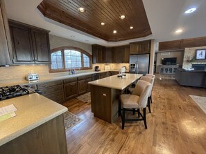 Fridge, microwave, oven, stovetop - GORGEOUS LARGE HOME WITH HOT TUB! 4th NIGHT FREE! (Galena)