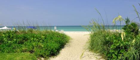 On the beach, sun loungers, beach towels