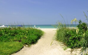 A sandy path leading to a beach with a clear view of the ocean. - Exclusive Beach-Style Condo with great Gulf-View 🌅 Sand Cay 206, Longboat Key (Longboat Key)