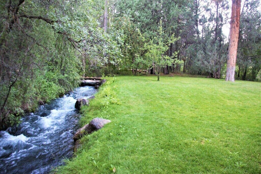 Une zone herbeuse avec un petit ruisseau et des arbres.