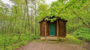 Eine kleine Holzhütte mit grüner Tür, umgeben von dichtem Wald.