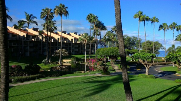 A hotel with multiple floors, a well-maintained lawn, palm trees, and a view of the ocean.