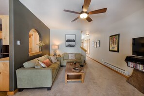 TV, fireplace, DVD player, books