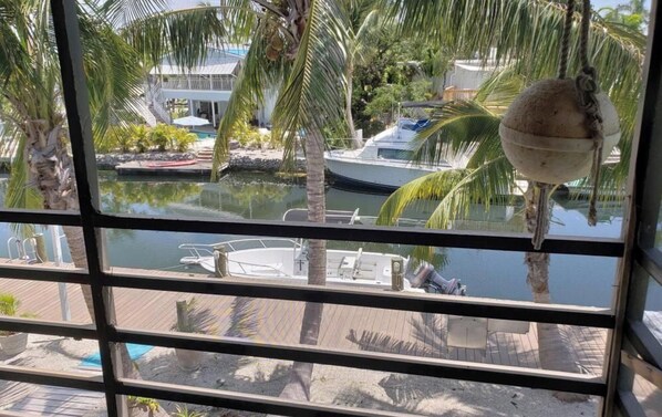 A view from a window overlooking a marina with boats, palm trees, and a pool area.