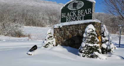 Black Bear Inns 132 · Vallée de Canaan 1BR mi-semaine à partir de 50 $, pour la famille et les animaux domestiques.