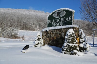 Canaan Valley 1BR renovated 1BR, family friendly.