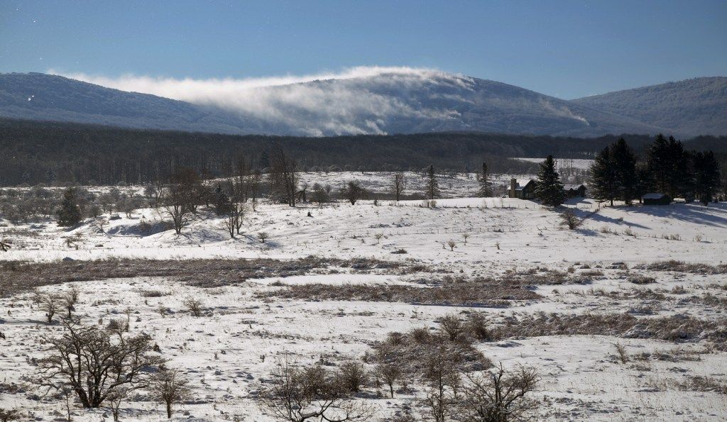 A snowy landscape with a mountain in the background and a few scattered trees.