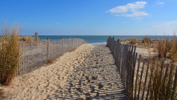 Un sentier de sable bordé d’une clôture en bois qui mène à l’océan.