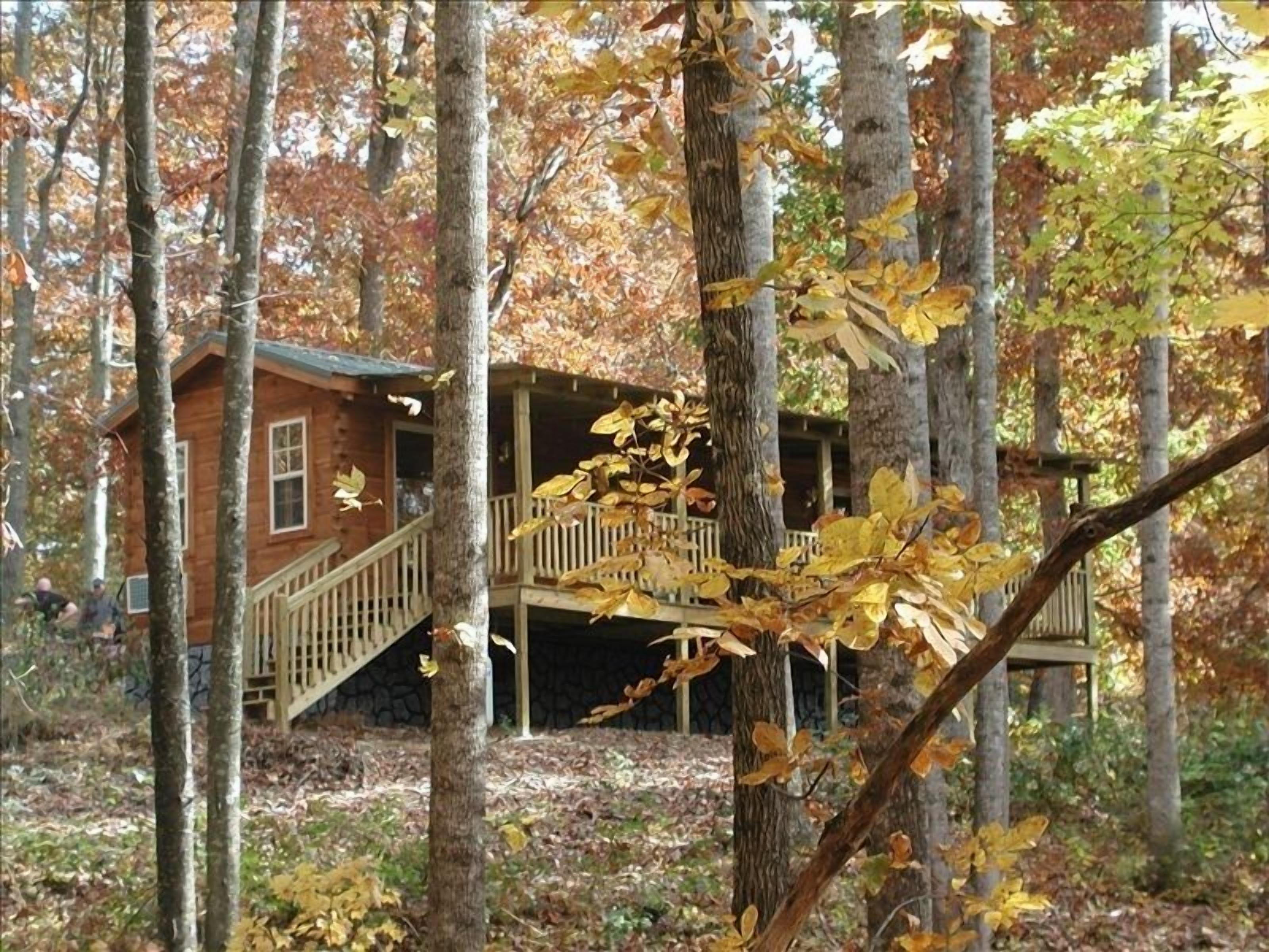 Lazy Rocker Cabin at Green Mountain Lodge in the heart of NC Apple Country