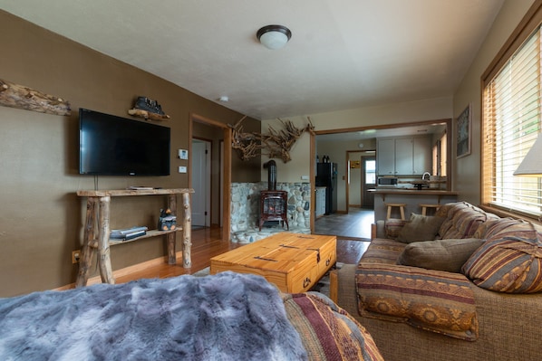 Smart TV, fireplace, books