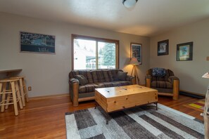 Smart TV, fireplace, books