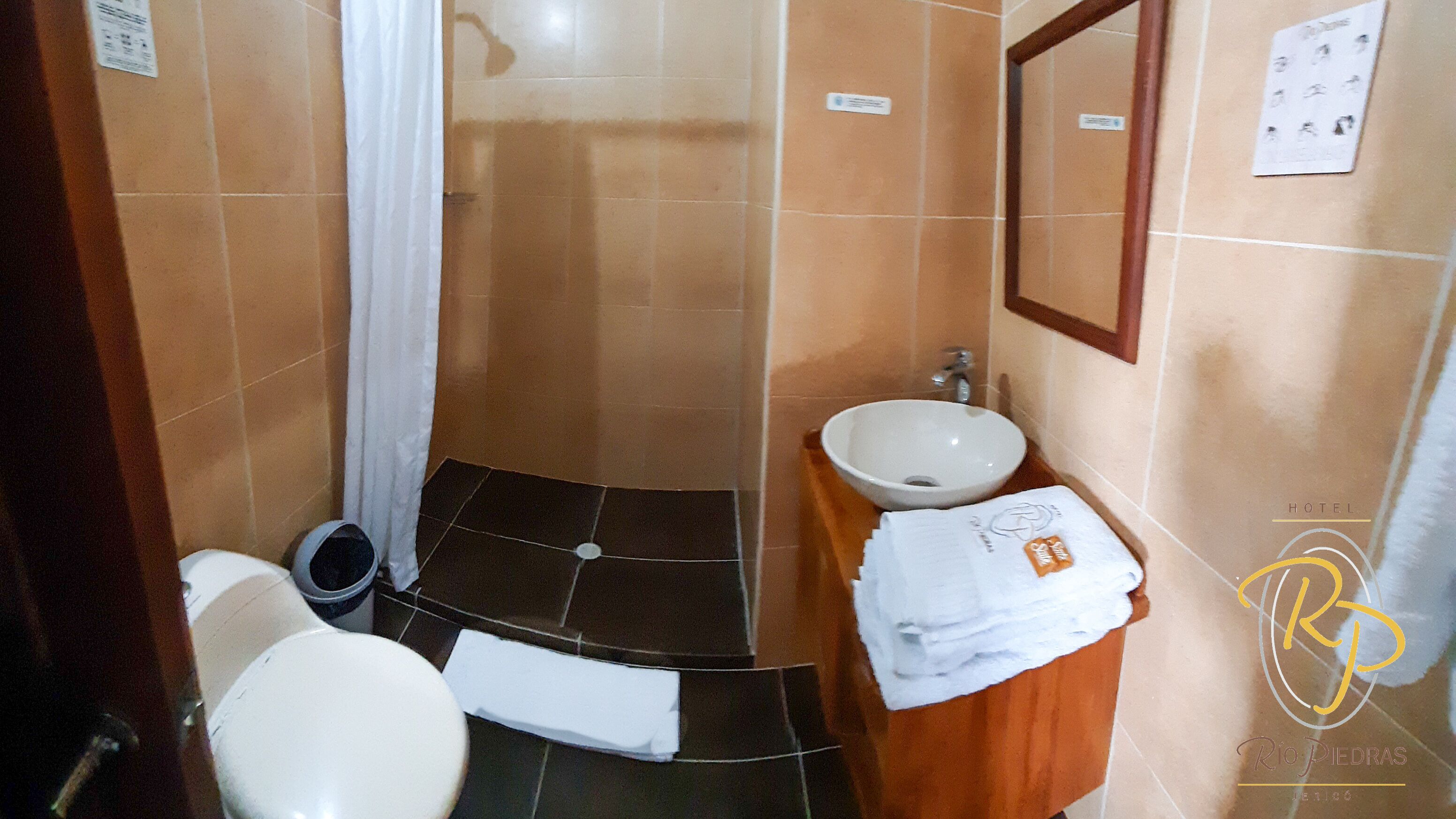 Une salle de bain avec des toilettes, un lavabo et une douche.