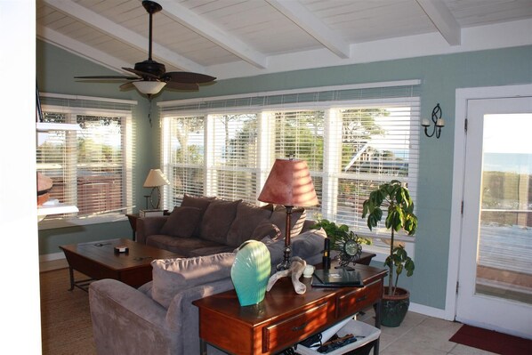 TV, DVD player, books, video library