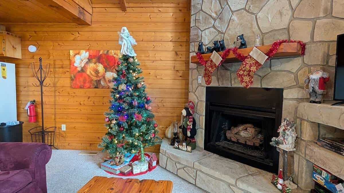 电视、壁炉、办公室