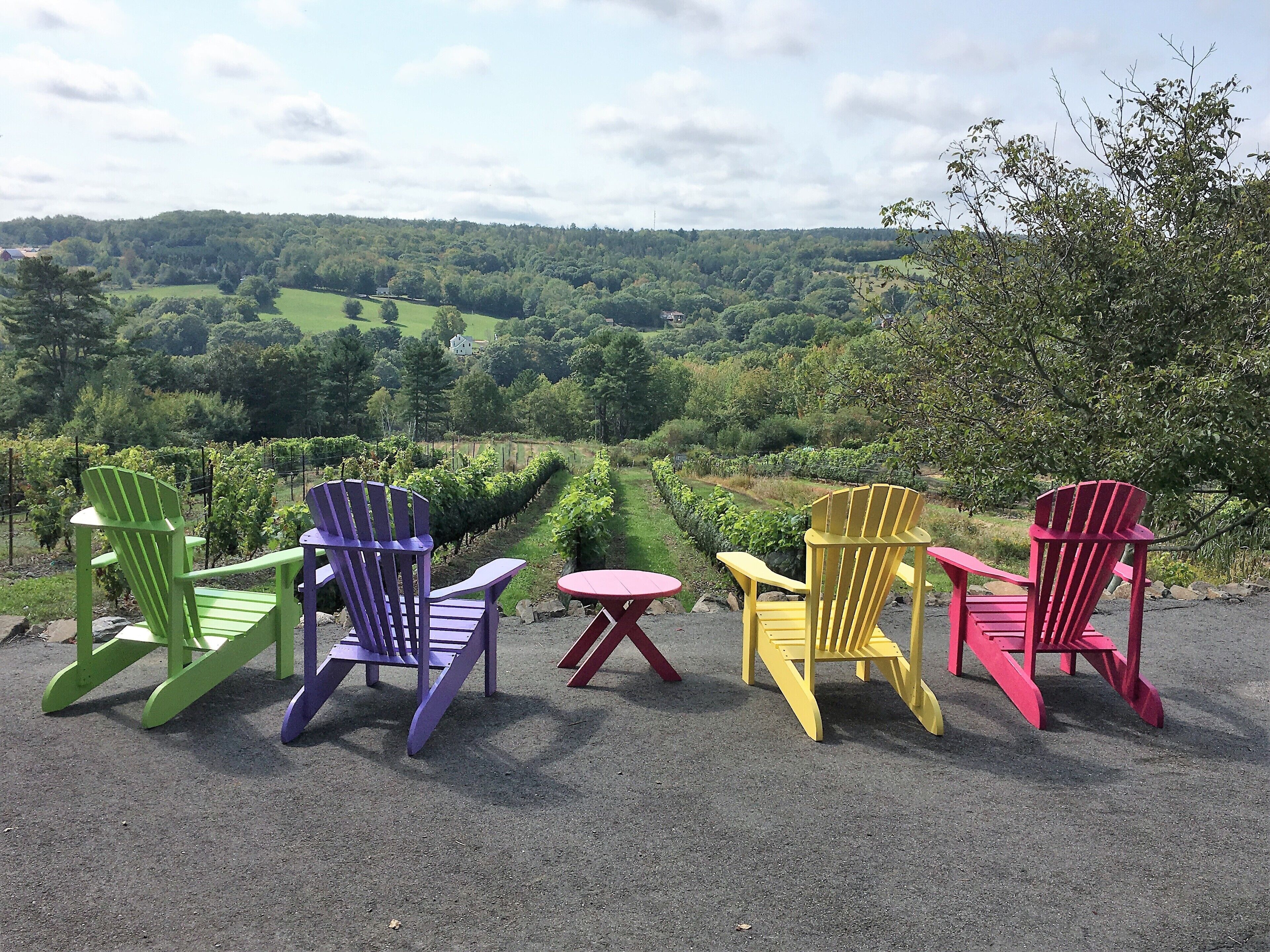 Overnattingsstedets uteområder